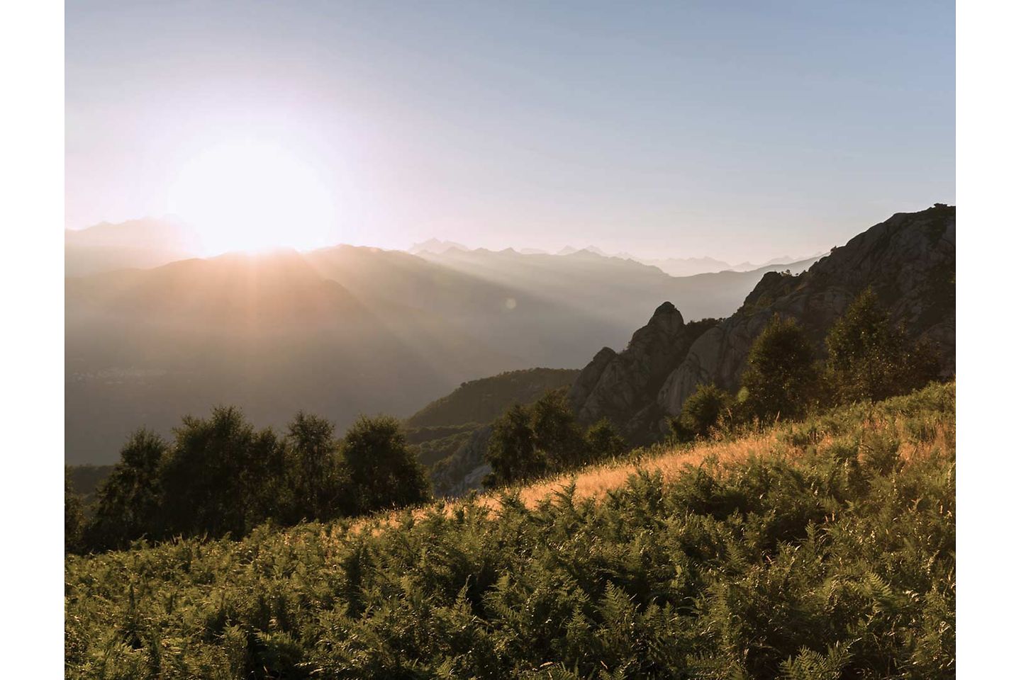 Sonnenschein über Wald und Feld